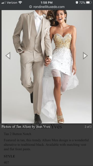 Champagne/ivory Dress - 2