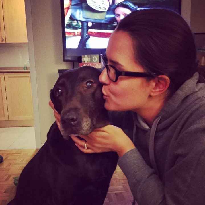 Calling all dog lovers! I need ideas! (NWR)