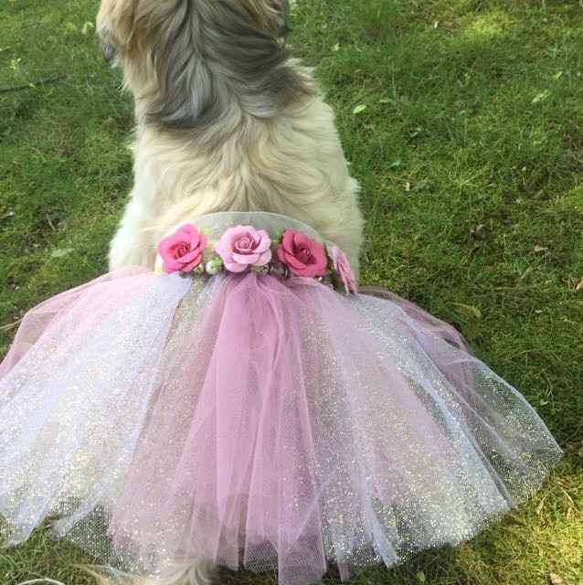Dog Tutu-DIY