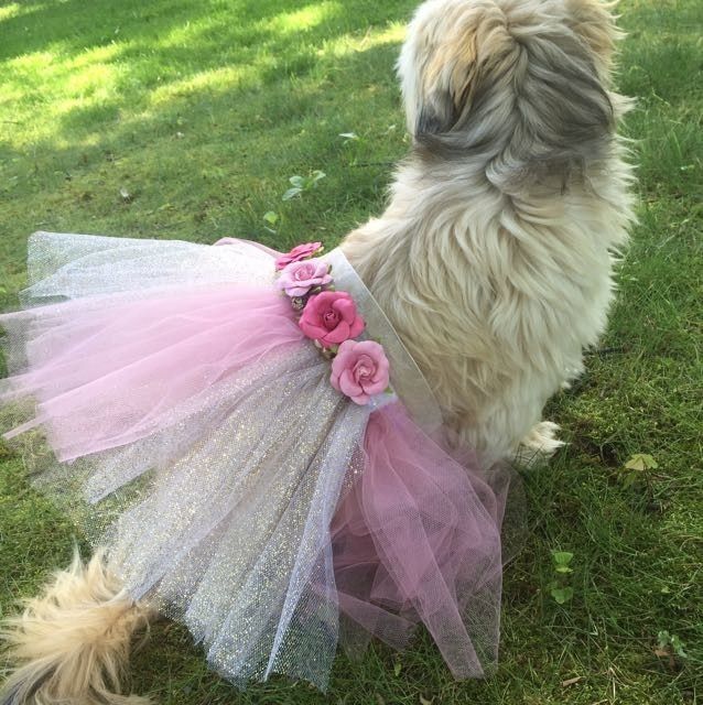 Dog Tutu-DIY
