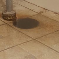 NWR: our basement drains are leaking sewage