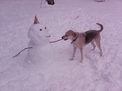 need help settling a looooong argument (NWR)