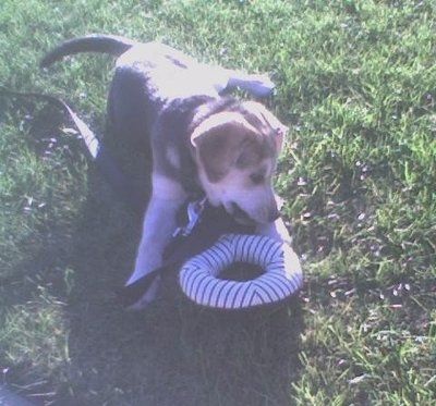 need help settling a looooong argument (NWR)