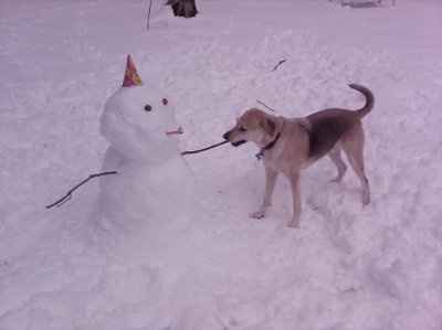 need help settling a looooong argument (NWR)