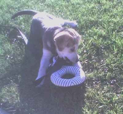 need help settling a looooong argument (NWR)