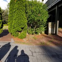 Mahan's Lakeview Not Suitable for Wedding - lost venue 10 weeks before wedding! - 26