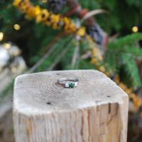 Wooden wedding bands