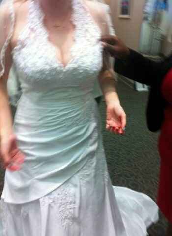 I GOT THE DRESS!!! *pictures*