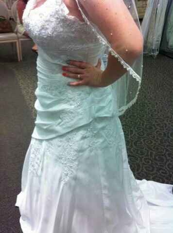 I GOT THE DRESS!!! *pictures*