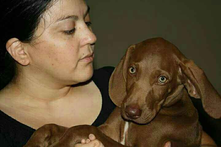 NWR: My pup thinks she's people. She's right. Show me your "people pups!"