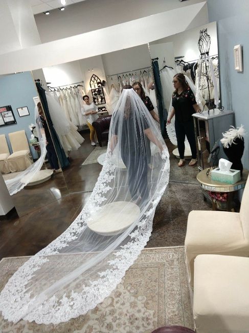 i found my veil at a bridal consignment shop!! 1