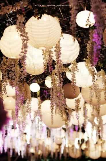 Chinese lanterns and Wisteria