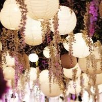 Chinese lanterns and Wisteria