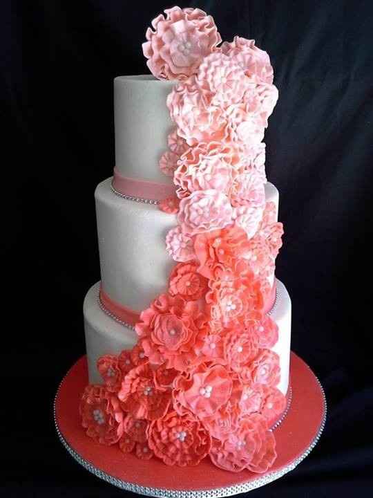 Who's the bride with the ombré bm dresses....?