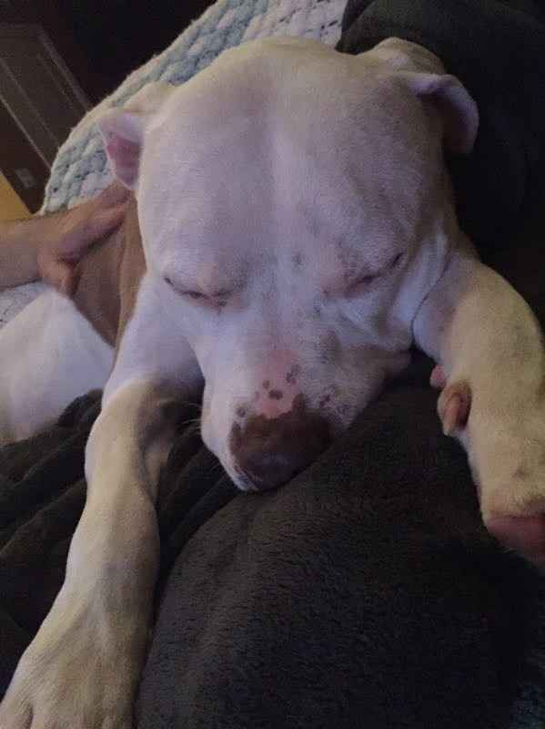 Another wrench.