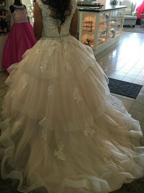 Have you said YES to the DRESS?