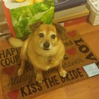 NWR: National Dog Day!