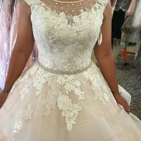 Have you said YES to the DRESS?