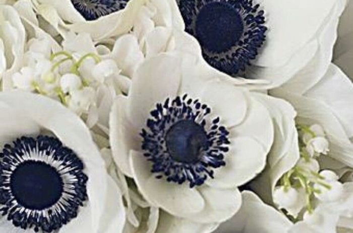 Bouquet - 1