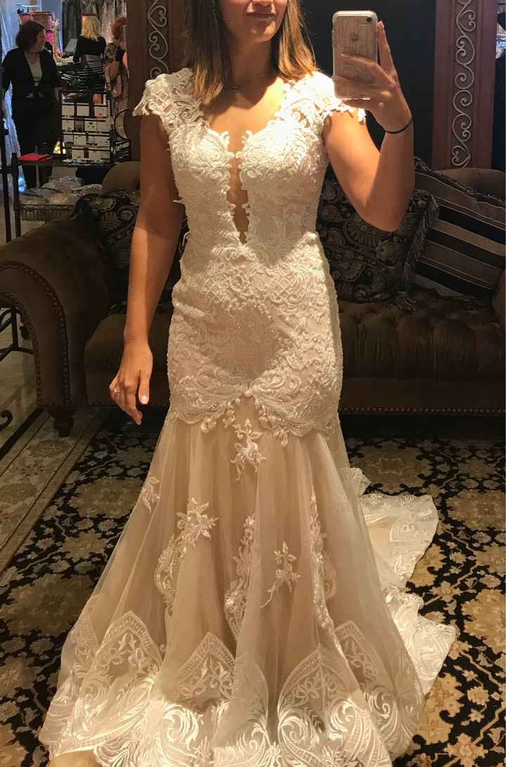 Wedding dress opinion - 1