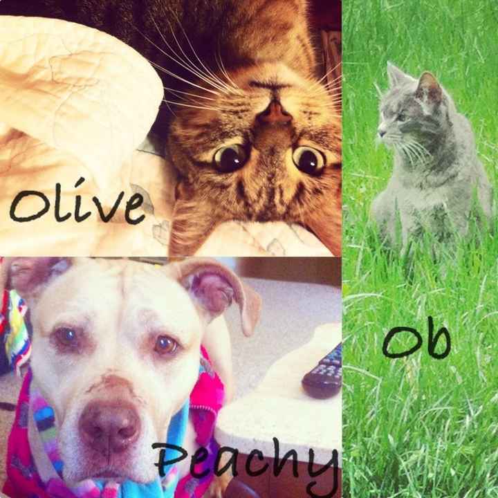 NWR: Pics of your pets :)