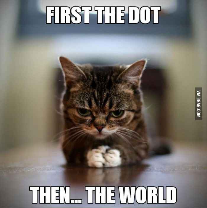 For Emmy's and those of us that enjoy the cat memes