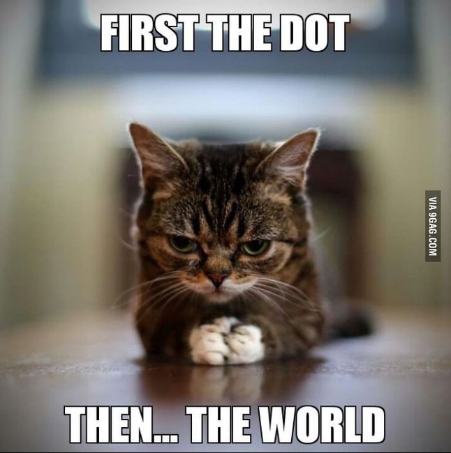 For Emmy's and those of us that enjoy the cat memes
