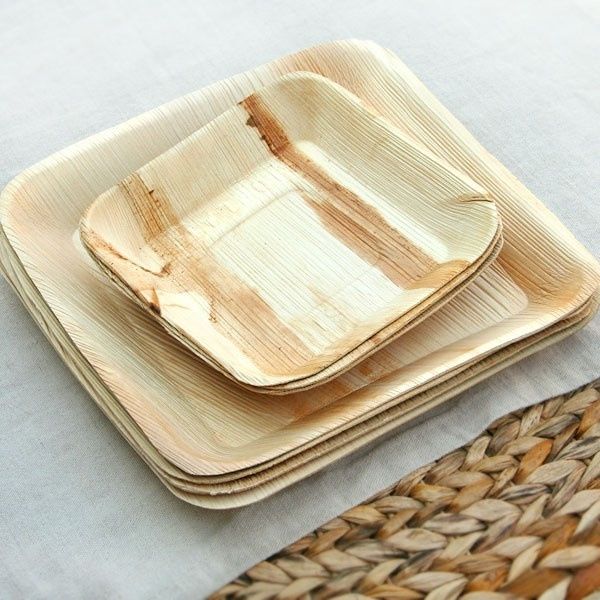 What is your opinion on paper plates ?