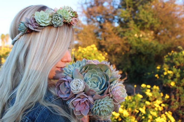 Colorful succulents