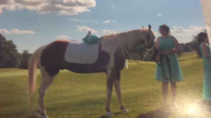 OUR WEDDING PICTURES