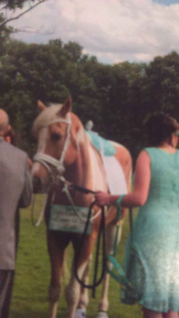 OUR WEDDING PICTURES