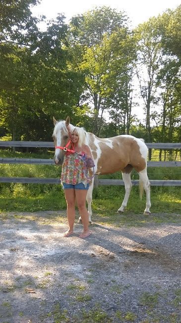 Using dogs in the ceremony