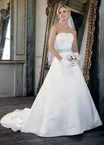 Calling all David's Bridal Brides... Let's see all the dresses and see who's dress twins! :D
