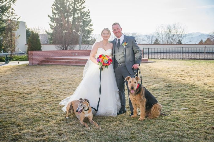 Pro BAM - Denver wedding 2.27.16