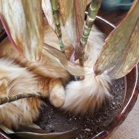 Just need to vent and cry a little