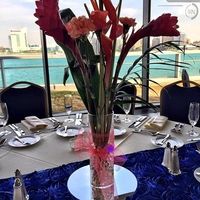 Real VS Silk Flowers?!