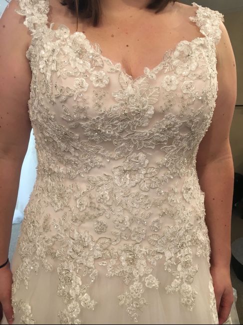  Said Yes to the Dress!!! - 2