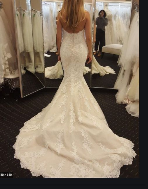 Alterations Help!  Pronovias Gown 2