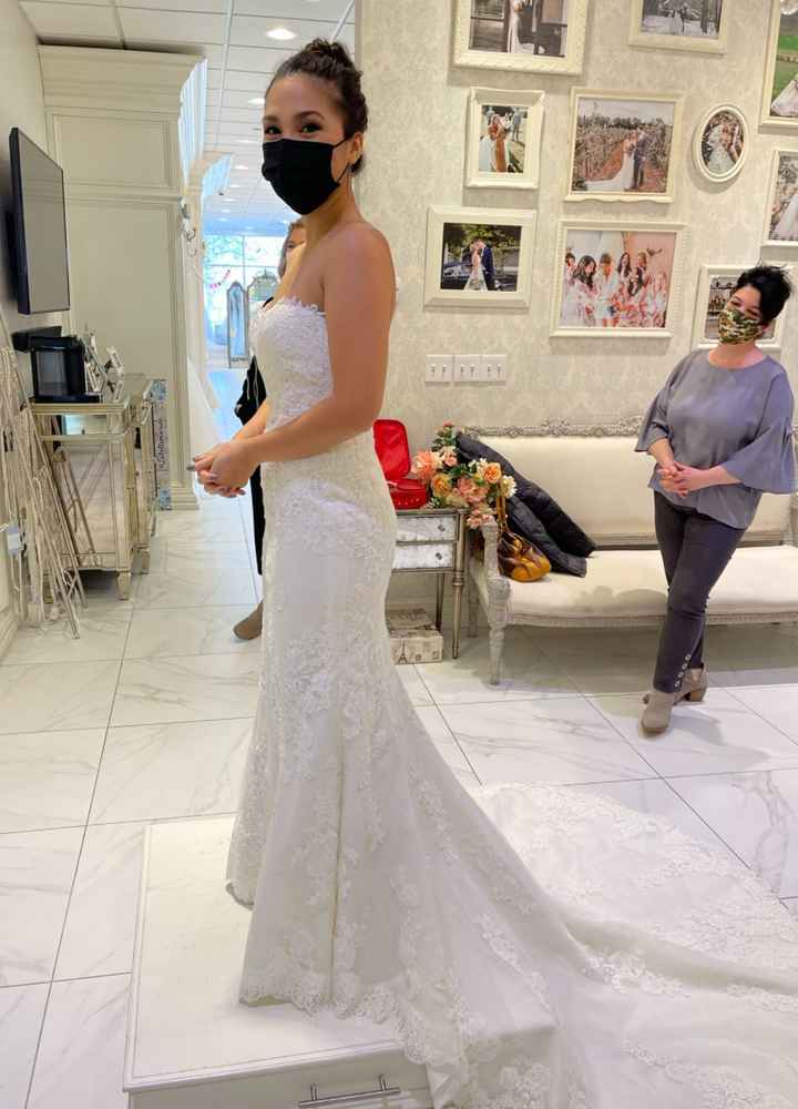 Let Me See Your Dresses!! - 1