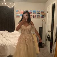 My wedding dress too dark? - 2