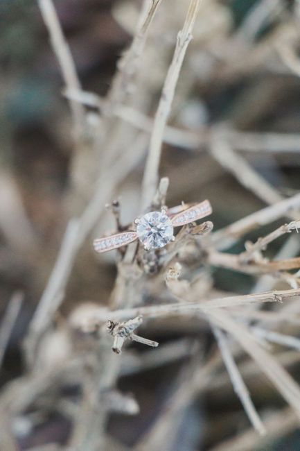 Brides of 2019!  Show us your ring! - 1