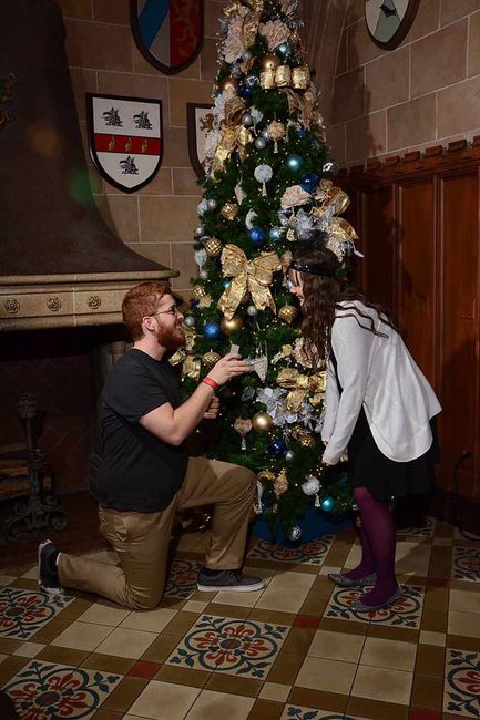 How did they pop the question? 💍 14