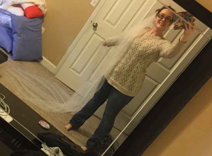 Your Veil: What, Where, How Much? - 1