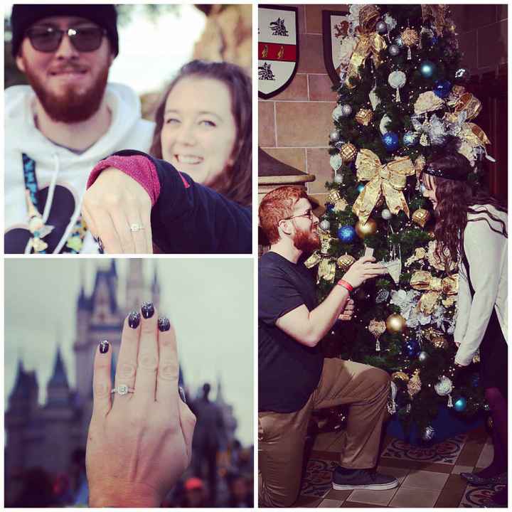 Proposal pics at Disney! - 1