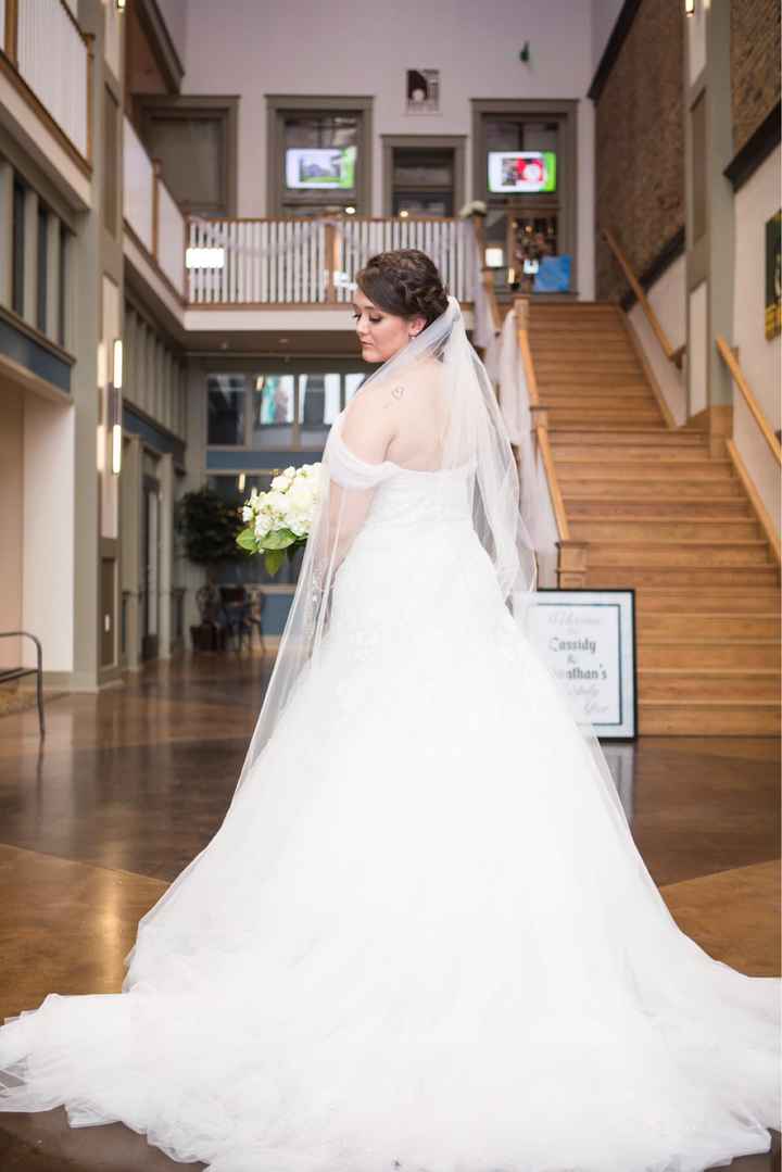 Cathedral length veil - 3