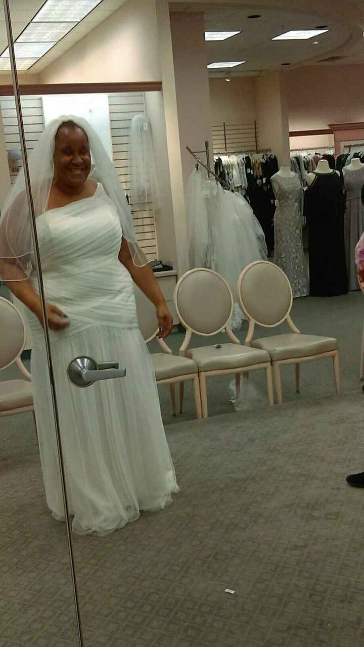 Davids Bridal Dresses!