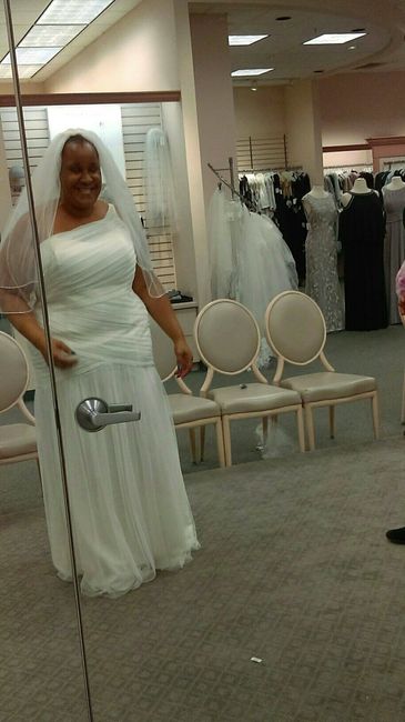 Davids Bridal Dresses!
