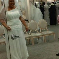 Davids Bridal Dresses!