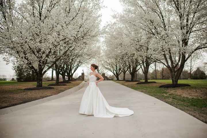 Let me see your: BALL GOWNS