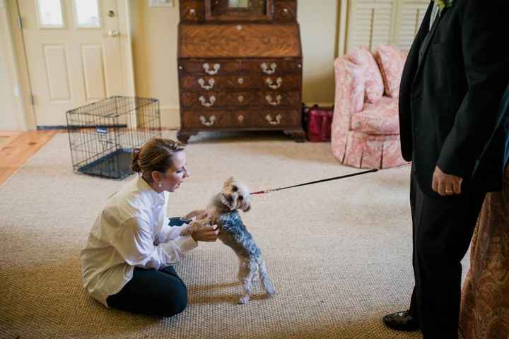 How many people are using your pets in your wedding?
